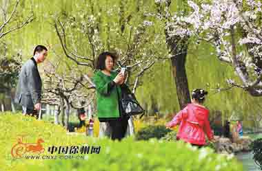 三个字,带友字的饭店名称-三个字的宾馆名称