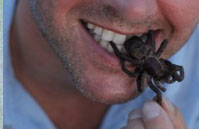 BBC冒险家尝试新“美味”