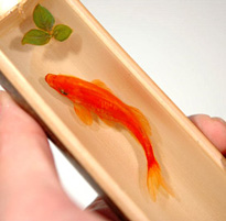 12星座下半年的贵人方位