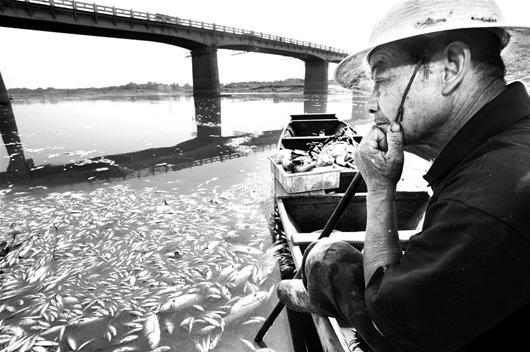 图为：71岁的老渔民郑师傅说，这一次，府河的鱼快死绝了