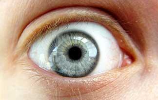 揭秘<em>人体</em>器官 男人乳头有什么用(图)_健康频道