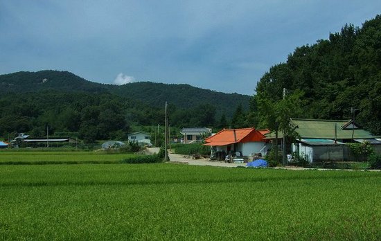 实拍韩国山谷中的农村房子 与韩剧反差太大(图)