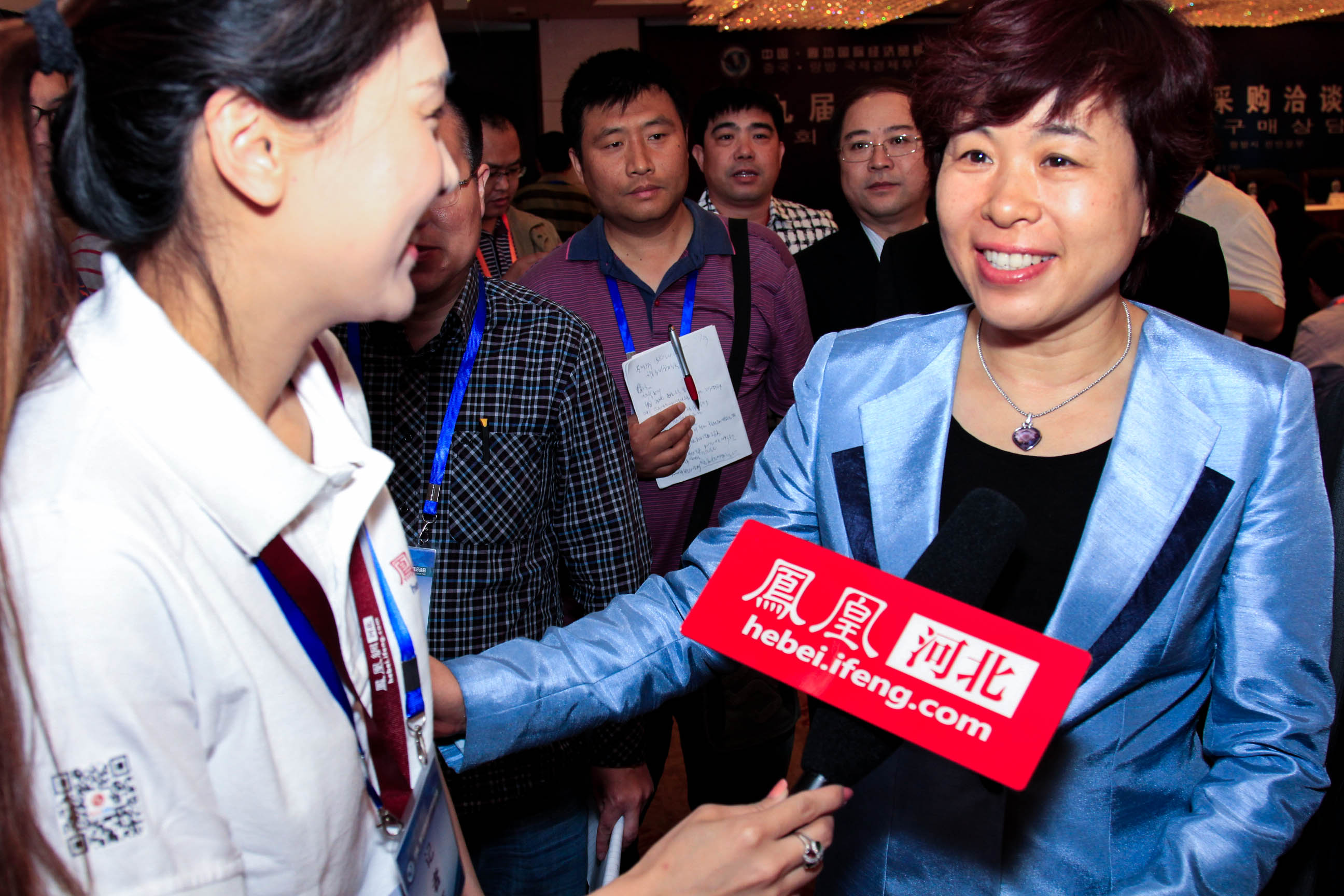 凤凰河北专访秦博勇:中韩汽车产业合作前景会