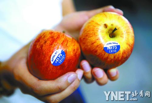 洋水果标签暗藏转基因信息 8字开头代表(图)