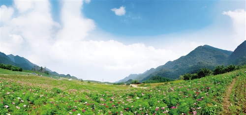 重庆巫溪GDP_重庆最新GDP出炉 没想到第一名是 快看你家排第几