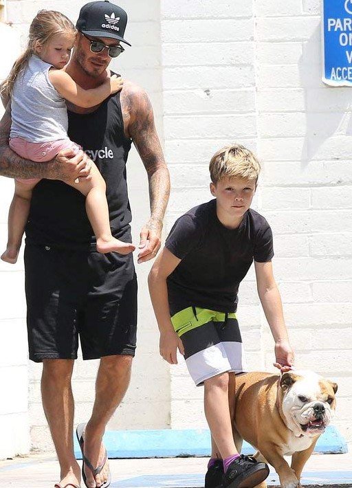 小贝女儿哈珀七变 <em>肥妹</em> 儿子克鲁兹牵肥犬现身