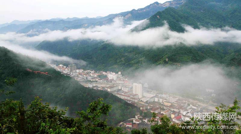 我国森林覆盖率_人均森林覆盖率(3)