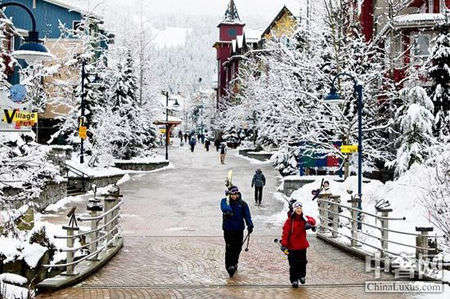 带着滑板去旅行 全球四大滑雪胜地