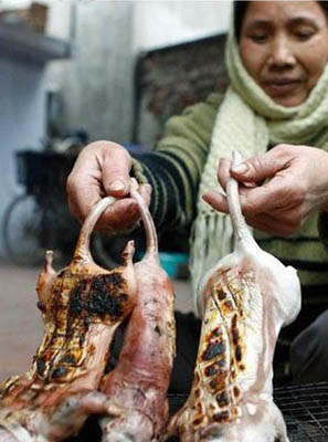 越南人爱吃老鼠肉 少女吃鼠可以美容