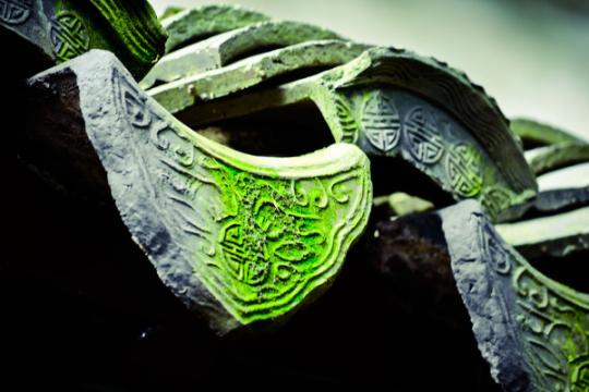 拙政园:苏家园里的青翠色