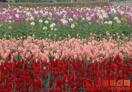 点击进入下一页 点击进入下一页
