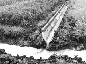 溧阳 | 餐具清洗企业乱排污 洗洁精+油污直排农