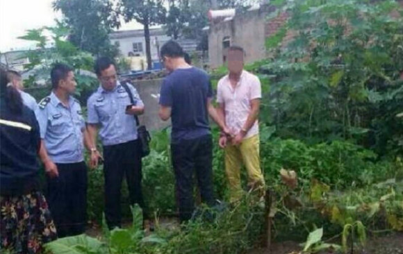 灌南人口有多少_灌南苦菜图片(3)
