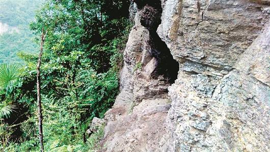 任国英栖居的绝壁洞穴