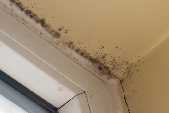 日久见瑕疵保温墙体常见四大问题