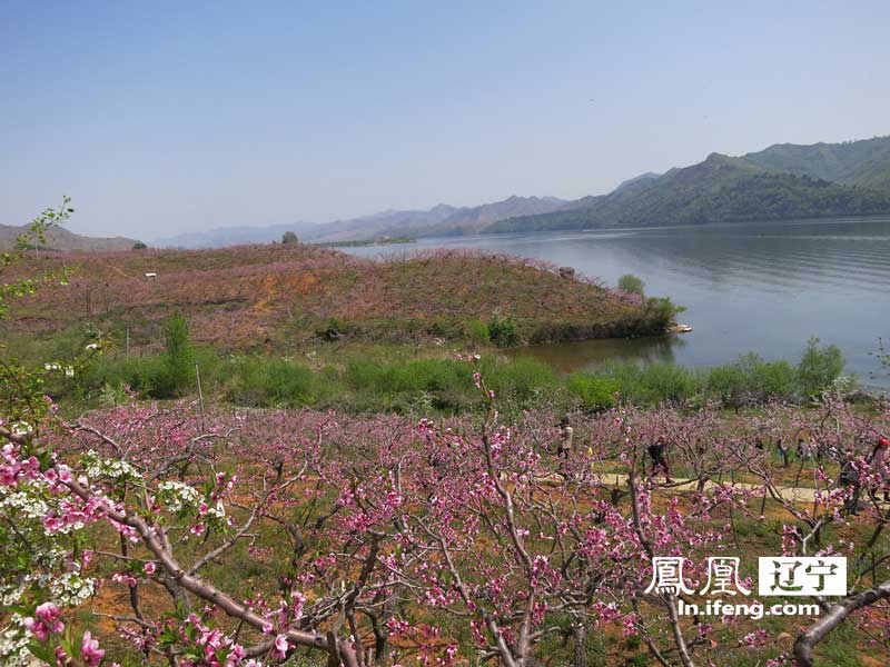 云南河口县人口多少_河口镇人口数据-江油市河口镇