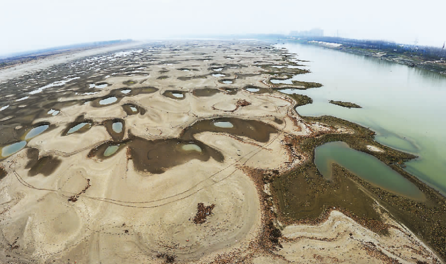 昨日，由于来水减少水位偏低，天兴洲出现大面积河床 见习记者 胡冬冬 摄 来源：长江日报
