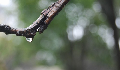 连续阴雨天如何健康养生
