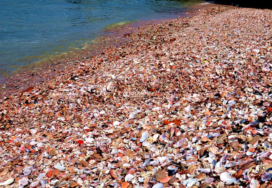 探秘青岛贝壳海滩 深藏崂山渔村之中_频道_凤凰网
