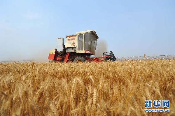 #（农业）（1）山东小麦收获过九成