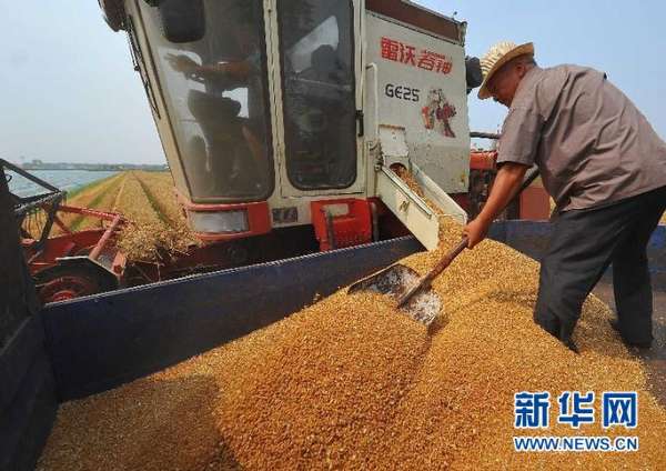 #（农业）（2）山东小麦收获过九成