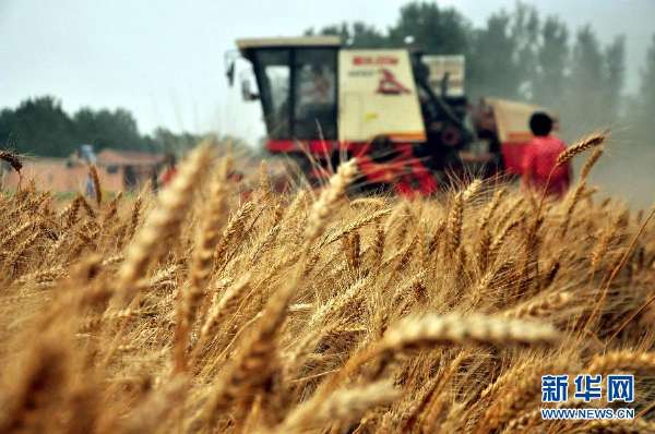 #（农业）（4）山东小麦收获过九成