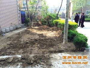 滨州：铲平绿化带 业主竟然是要建车库