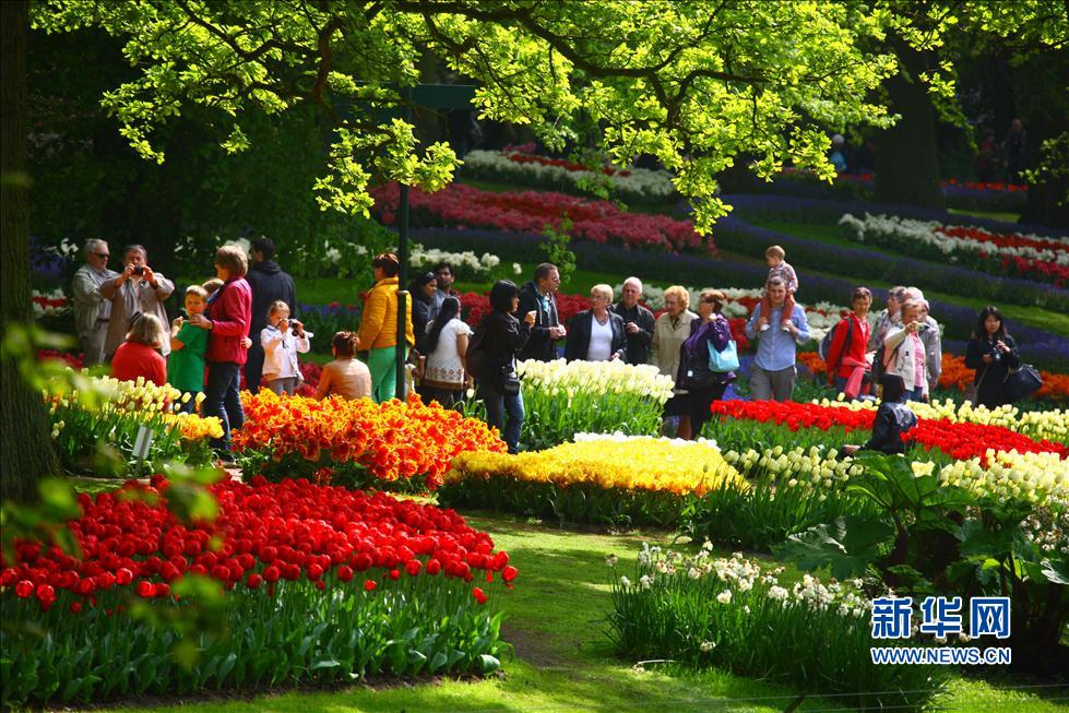 世界上著名的公园 rdn_53659deac1d9c.jpg