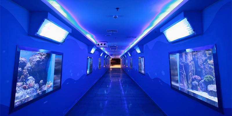 大丰港海洋馆 体验神奇海洋世界
