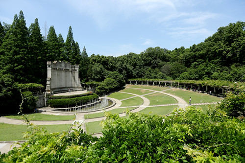 【乘凉】静谧中山陵 仲夏之夜