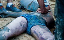 何洁赫子铭大婚将近 再曝浪漫婚纱照《高清大图》