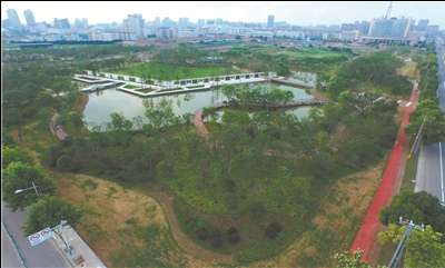 游园赏绿去处多 南通生态宜居景色美