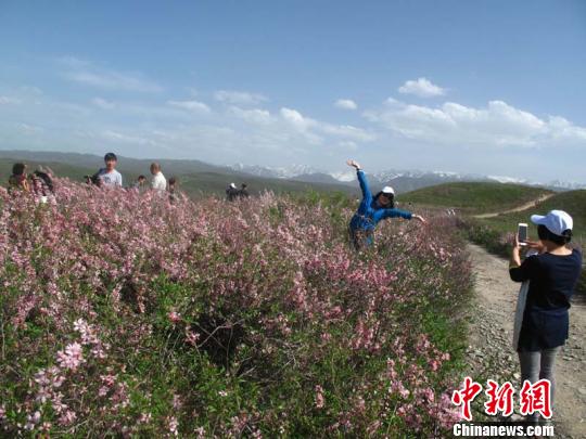 第九届新疆裕民山花节开幕