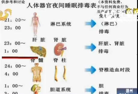 网传人体排毒时间表吓坏夜猫子 中医:无科学