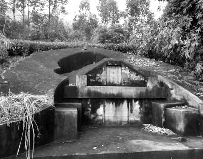 福建一古墓葬的竟是母猪,寺院和尚为其扫墓900多年