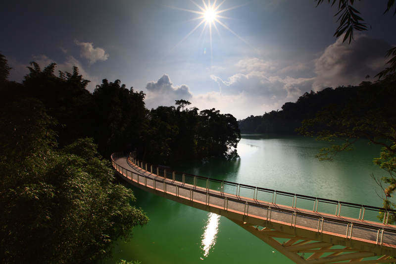 rdn_510d2c12e739b.jpg