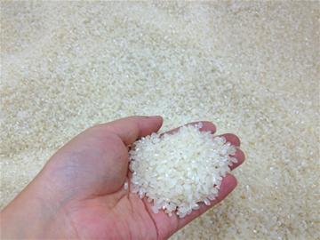 大米价格涨了多少钱 rdn_52411fdc7d9b1.jpg