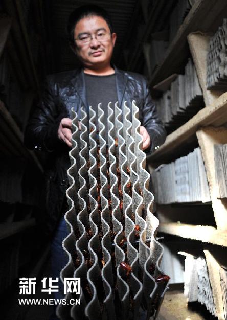 山东农民王福明在蟑螂工厂内检查美洲大蠊养