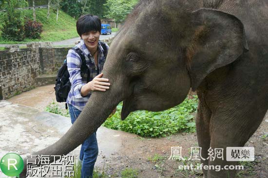 《我是冒险王》探访西双版纳 鲍春来挑战驯象