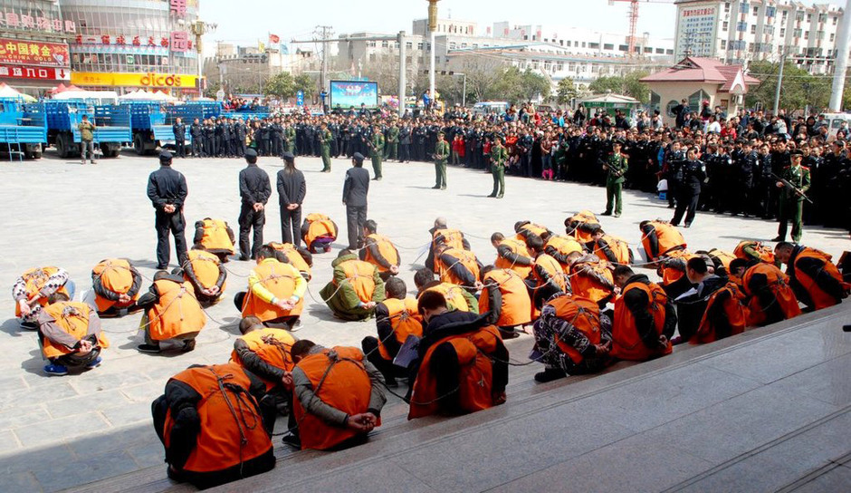 河南项城公处51名犯罪嫌疑人