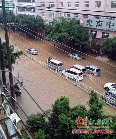 一夜暴雨 定南县城内涝严重变"水城"(图)