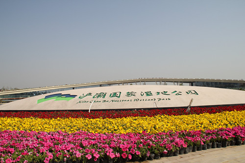 陕西网络媒体探营西安浐灞国家湿地公园