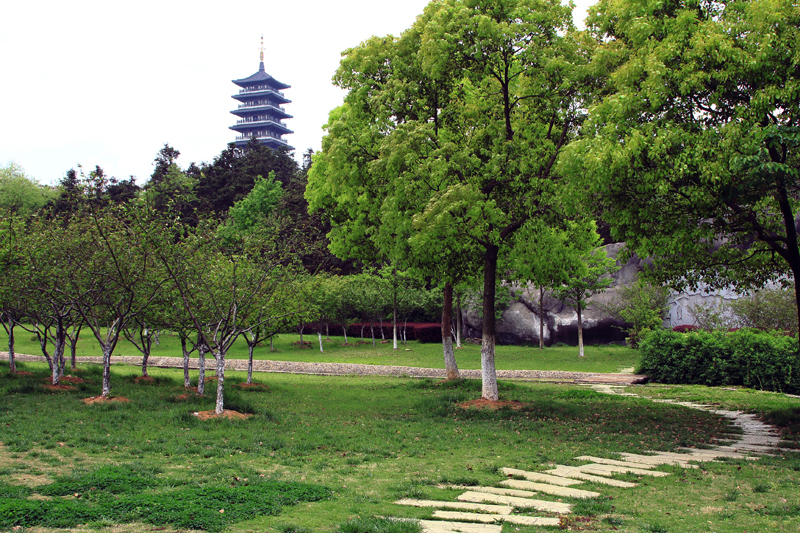 宜兴市龙背山森林公园植物景观和绿化配置及生态风景林改造-学路网-学