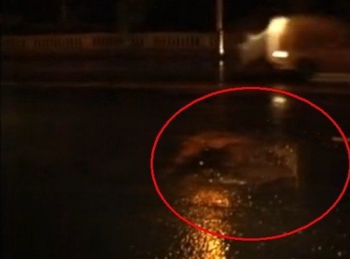 长江大桥桥面惊现40个坑，过往车辆避之不及，上下颠簸乘客受罪。