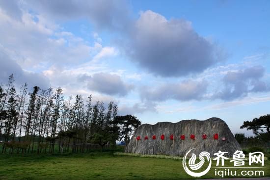 微山湖国家湿地公园-种晓靖（摄影）