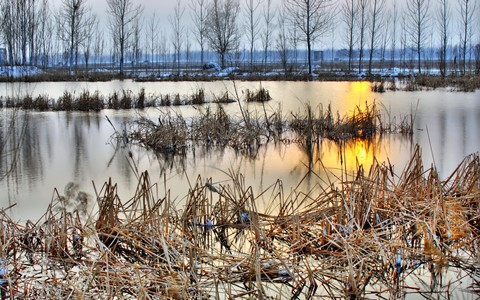 济西湿地——冬
