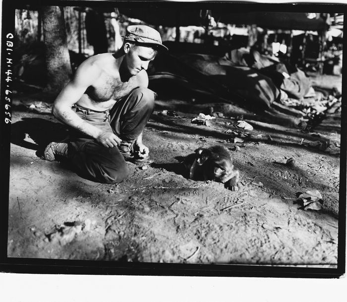 《国家记忆(贰)》震撼登陆 展示更全面的战时中