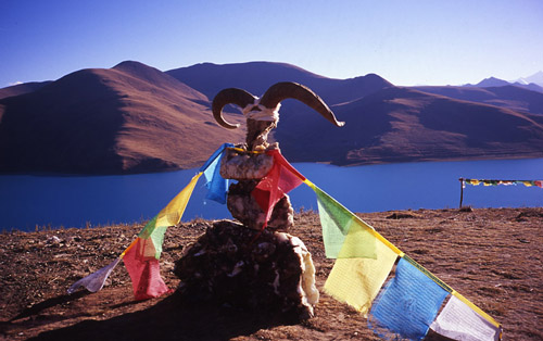 羊卓雍湖 转世灵童的圣湖