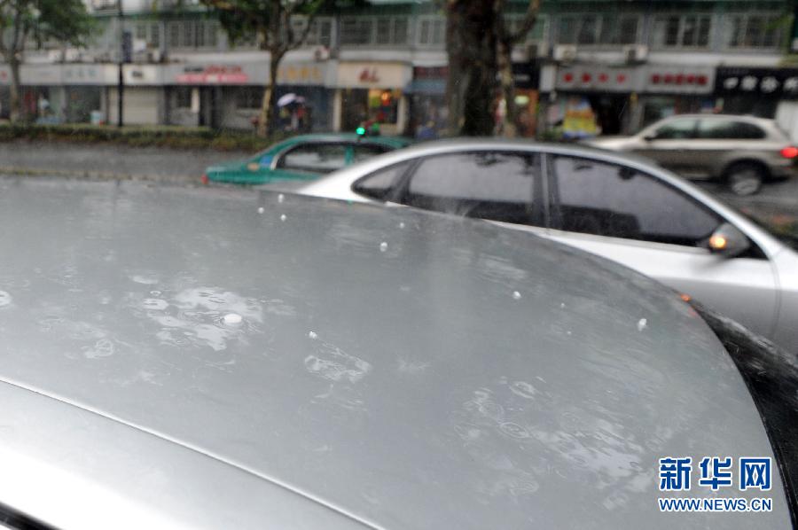  8月1日，在杭州市区，冰雹颗粒打在车辆上。当日午时，杭州市出现短时强对流天气，伴随强降雨，市区部分地区降下弹珠大小的冰雹。 新华社记者 鞠焕宗 摄 
