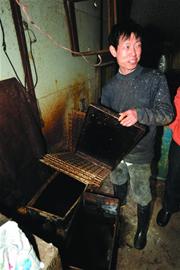 青岛一豆腐黑作坊被查现场臭味熏天令人作呕